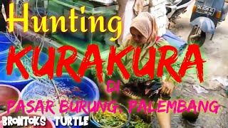 Hunting Kurakura di Pasar Burung Palembang | Hunting Turtle at Bird Market, Palembang Indonesia