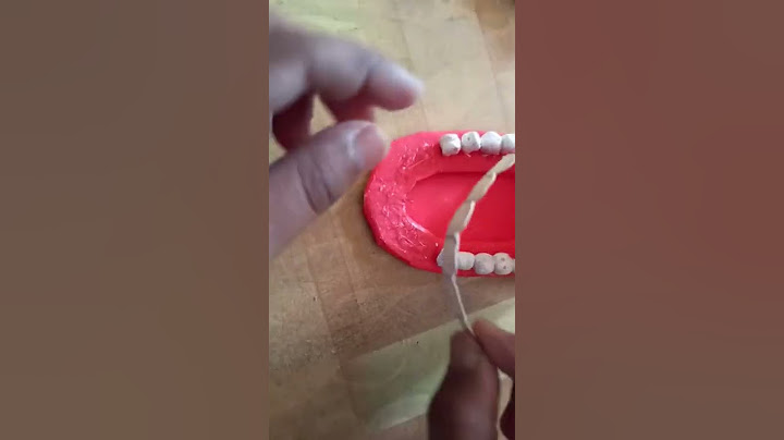 Easy steps to make a model of kinds of teeth 😁#short
