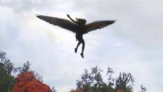 Bu Video Kameraya Yakalanmasaydı Kimse İnanmazdı Ğa