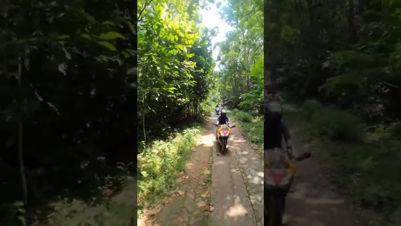 মধুপুর জাতীয় উদ্যান-এর ভেতরে অসম্ভব সুন্দর রাস্তা, টাঙ্গাইল  Madhupur National Park, Tangail#shorts