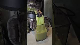 SLOW JUICER #viral #lott #kitchen