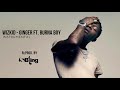 Wizkid Ginger Ft Burna Boy Instrumental ReProd By S Bling