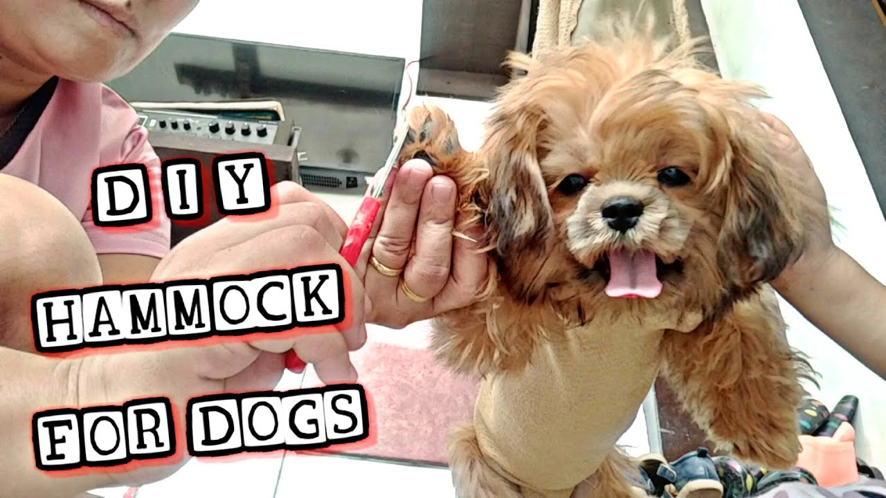 DIY Harness Hammock For Dogs Nail Cutting Solution How To Groom