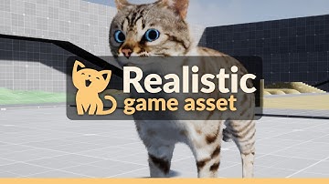 Advanced Cats - Game Asset