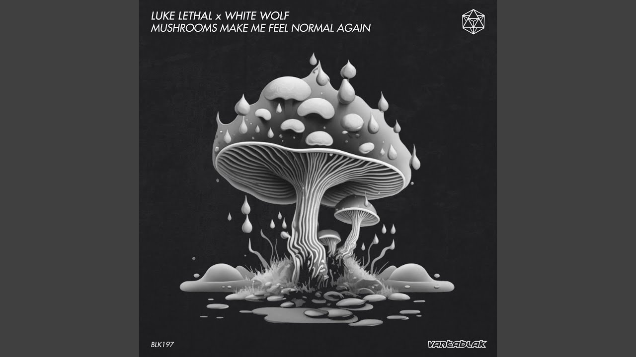 Mushrooms Make Me Feel Normal Again (Original Mix) YouTube