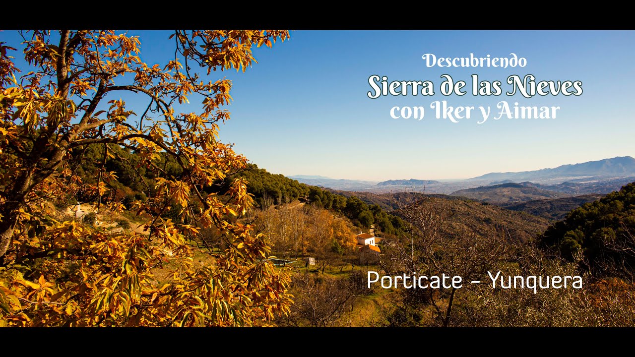 Visitando el castañar de Yunquera en Sierra de las Nieves