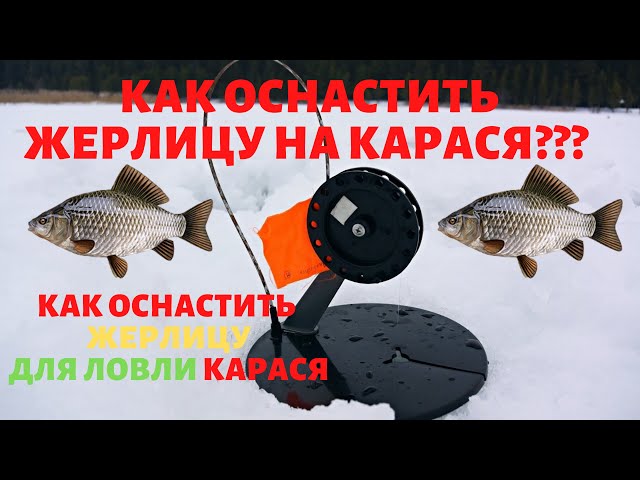 ЖЕРЛИЦА на КАРАСЯ! Как поймать карася на ЖЕРЛИЦУ? Оснастка ЖЕРЛИЦЫ для ловли карася