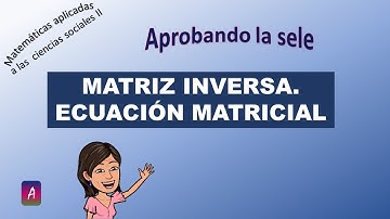 Cálculo de matriz inversa y ecuación matricial. Ejercicio de Selectividad. MSPV1819ExtB1 EAU UPV/EHU