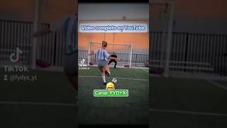 Videos Graciosos 2023