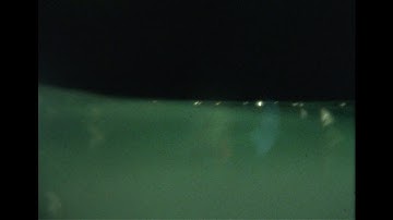 Dissolution Lakes  2025