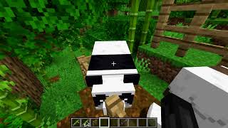How To Find Brown Pandas In Minecraft