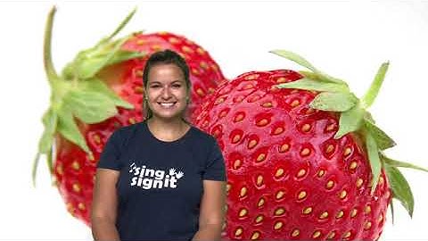 MAKATON ‘Colours all around’ Sing It Sign It