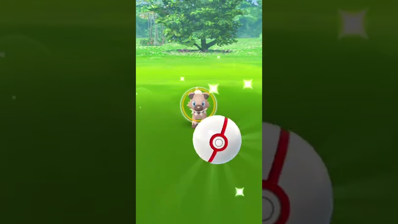 Rockruff Raid! 