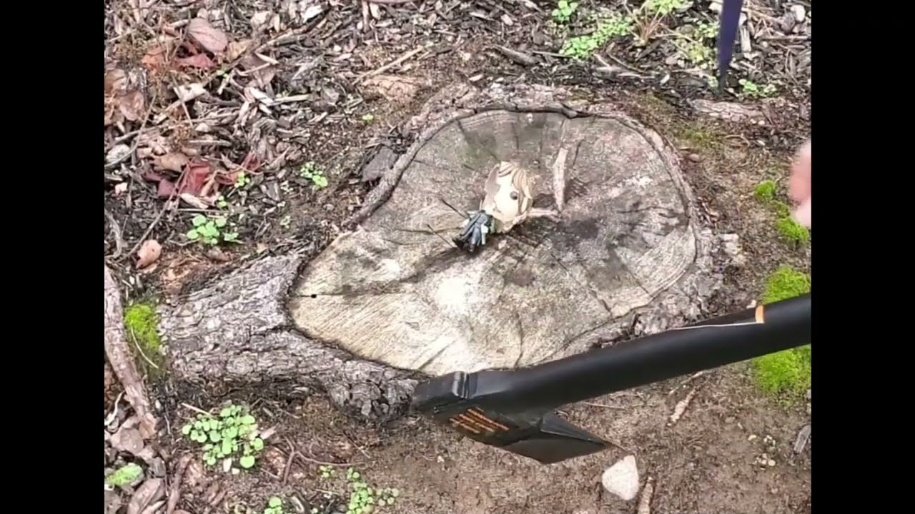 MetaZoo Content Creators of 2024