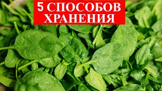 Шпинат Будет Всегда Свежим!  5 Способов Хранения Шпината В Холодильнике/Как Хранить Зелень