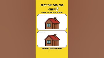 Double Puzzle Challenge – Spot Both!