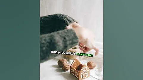 Quantum Leap The New Frontier of Polymer Simulations.