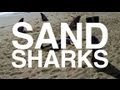 Download Filmro Sand Sharks - Video Review Filmro Sand Sharks - Video Review