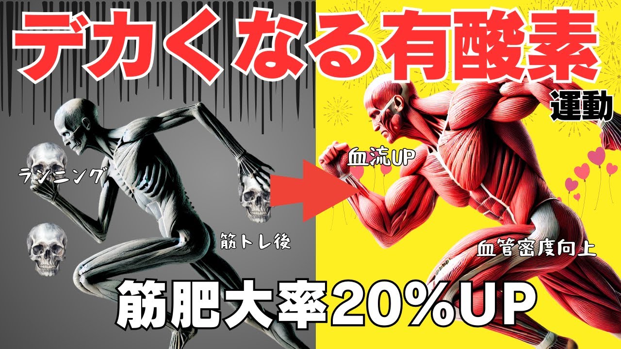 【筋トレ科学】筋肥大率が20％上昇する有酸素運動の取り入れ方　~2022年　マクマスター大学～