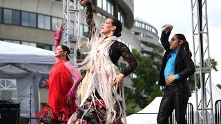 2016 Kennedy Center National Dance Day