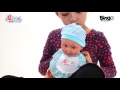 How To Play With Bingo Baby With Stroller 