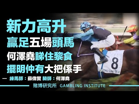 【賽馬重溫】新力高升贏足五場頭馬！｜何澤堯睇住黎食！擺明仲有大把係手！