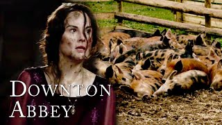 The Great Pig Rescue | Downtown Abbey