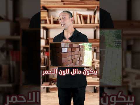 اخشاب الزان
