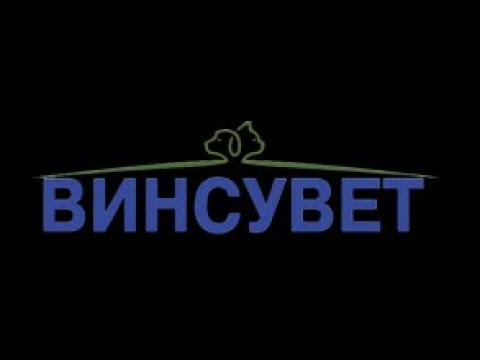 ВИНСУВЕТ - инсулин для животных.  Введение инсулина кошкам и собакам