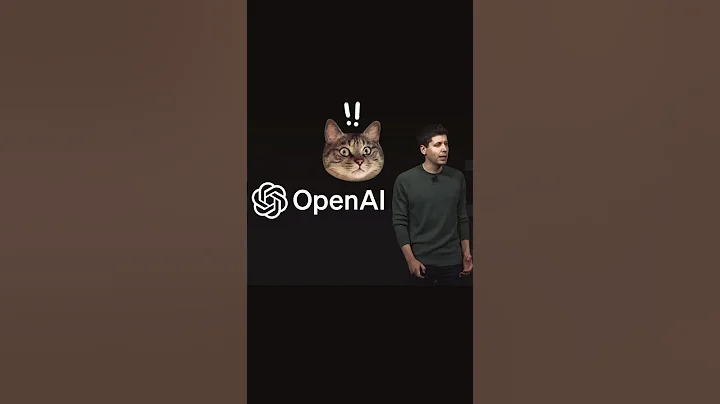 OpenAI CEO does not want more money?