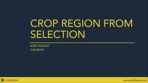 Crop Region From Selection