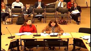 City Council Study Session - Jan. 27, 2020 - Part 1 (Part 2)