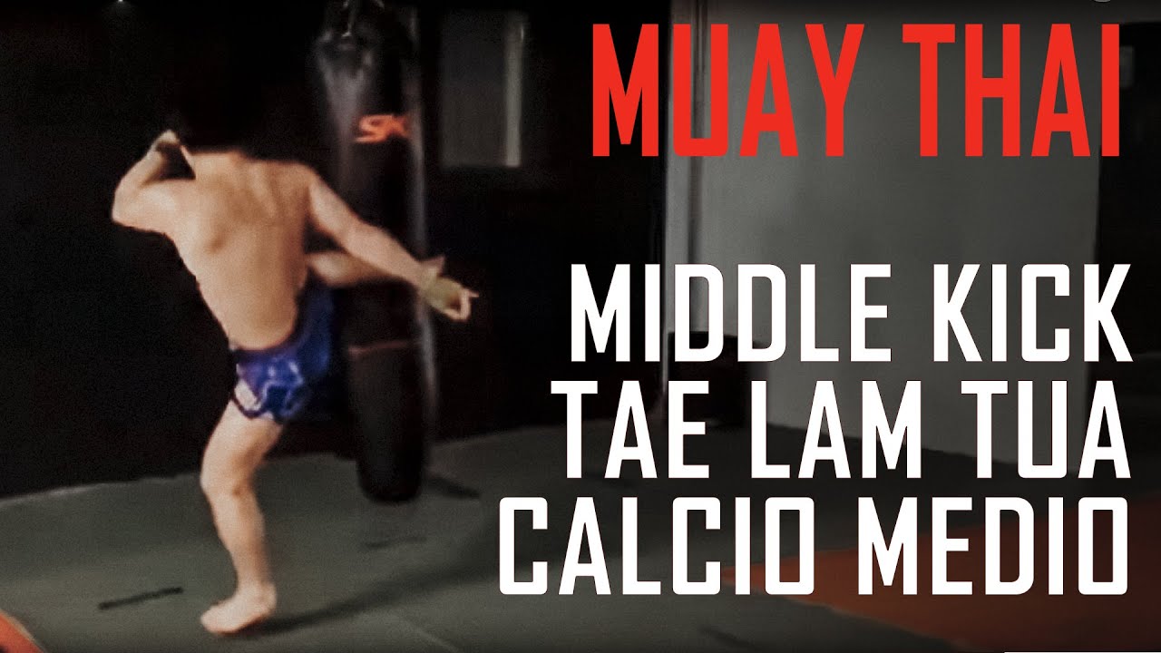 Kickpad Curvo PSS Per Muay Thai, MMA E Kick Boxing – 1111, Nuovo, Fabbricato In Pakistan
