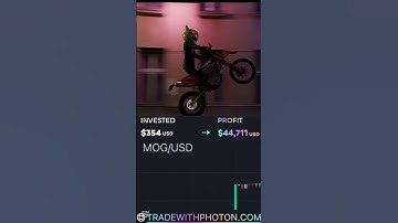 Your portfolio deserves Mog. 💰