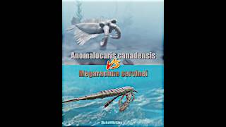 Anomalocaris Vs Megarachne