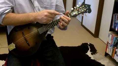 Mandolin with Gerry Hale - Bar chords