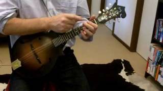 Mandolin with Gerry Hale - Bar chords