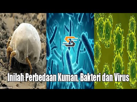 Video: Perbezaan Antara Pensterilan Dan Pembasmian Kuman