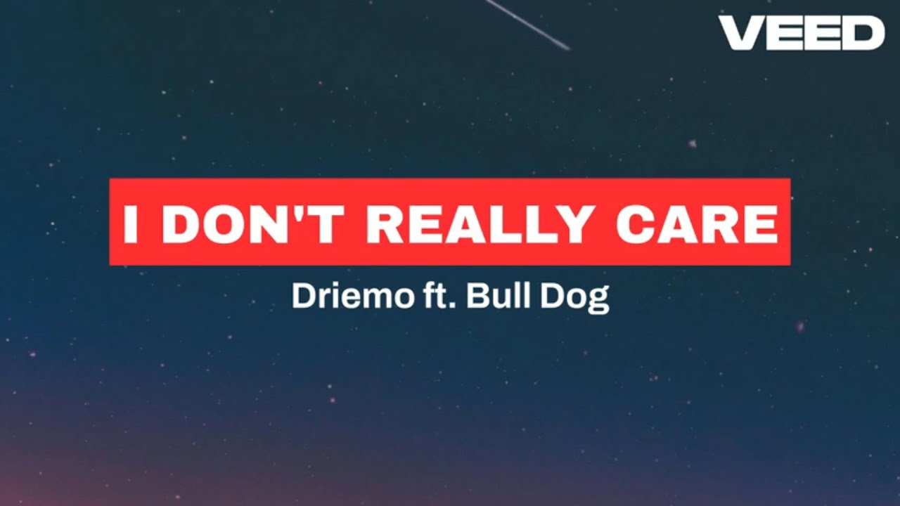 Driemo ft. Bull Dog_ I DON"T REALLY CARE (Lyrics) YouTube