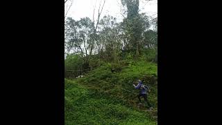 Por la senda del Deva. Panes. Asturias