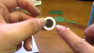 Turtle Tutorial