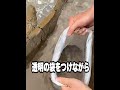 【神回】TikTokにアフレコしてツッコんでみたらヤバかったｗｗｗｗｗｗｗｗｗｗｗｗ【第1077弾】　#shorts #ボケとツッコミ #爆笑 #tiktok #ツッコミ