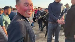 Beshariq mol bozori sigir va hunojin narxlari.