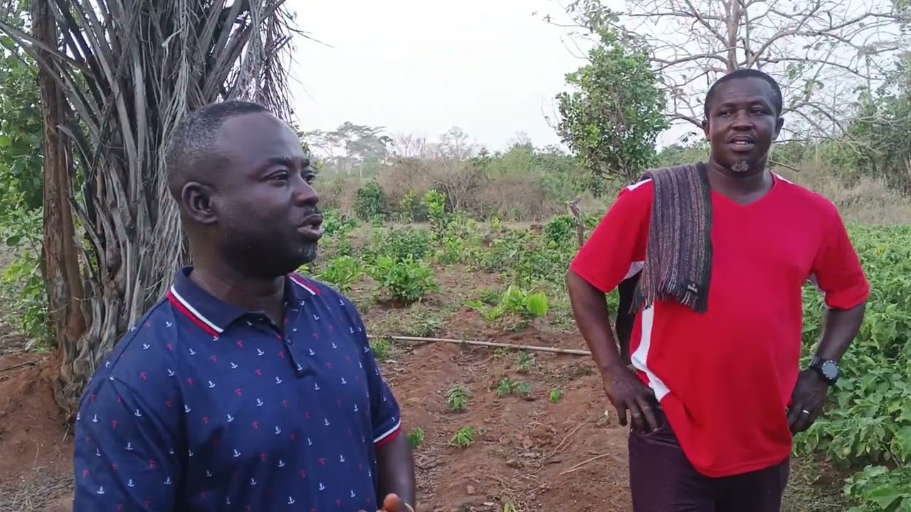 Irrigation Farming Is Paying! Meet the Teacher Cashing In pt 6