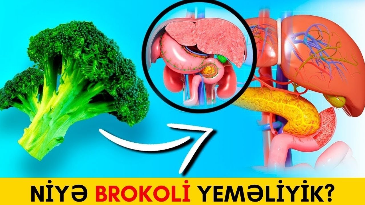 Saç Tökülməsinin Qarşısını alır, Qəbizliyə son qoyur... | BROKOLİNİN SAYMAQLA BİTMƏYƏN FAYDALARI
