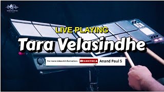 Tara Velasindhe | Christmas Song | Live Playing