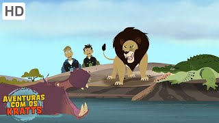 Aventuras com os Kratts - O Leão Despenteado (Episódio Completo - HD) screenshot 4