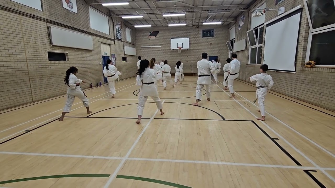 Junro Godan Tutorial