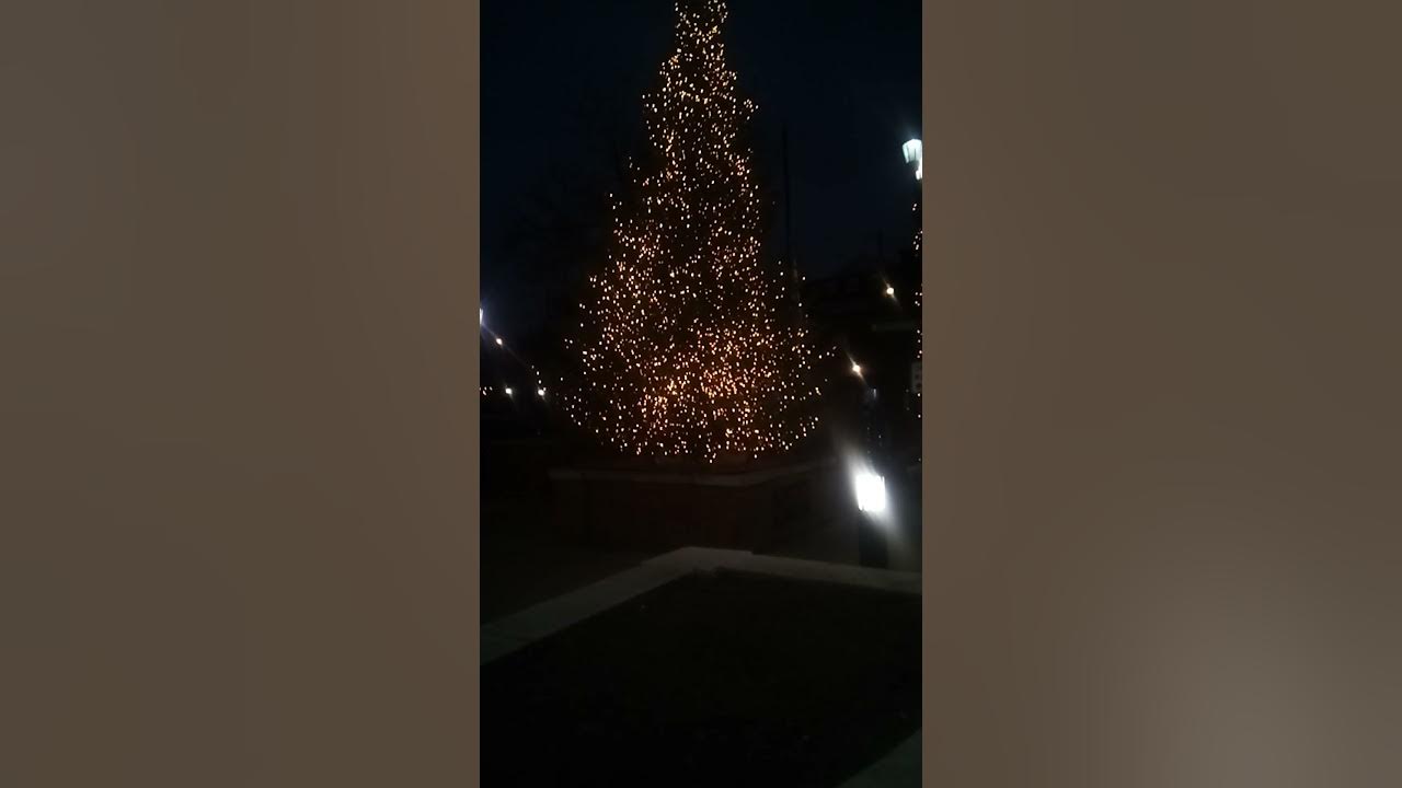 Forest Park Christmas Tree YouTube