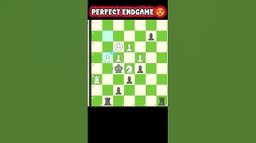 PERFECT ENDGAME😍🔥#chess #chesscom #youtubeshorts #ytshorts #shorts #edit #brilliant